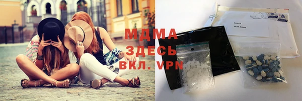 прущие грибы Елабуга
