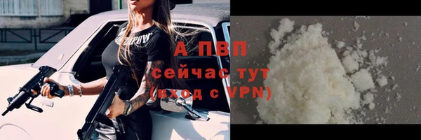 прущие грибы Елабуга