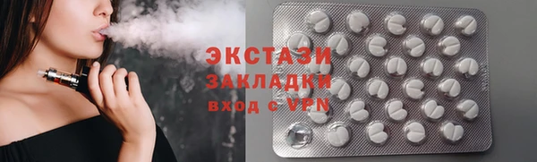 прущие грибы Елабуга