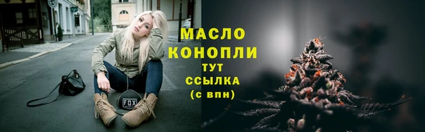 прущие грибы Елабуга