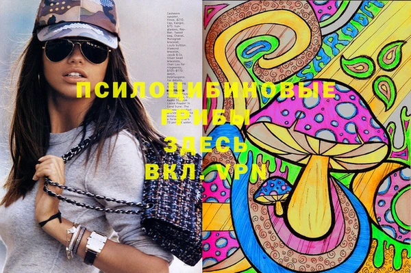 прущие грибы Елабуга