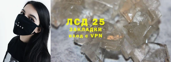 прущие грибы Елабуга