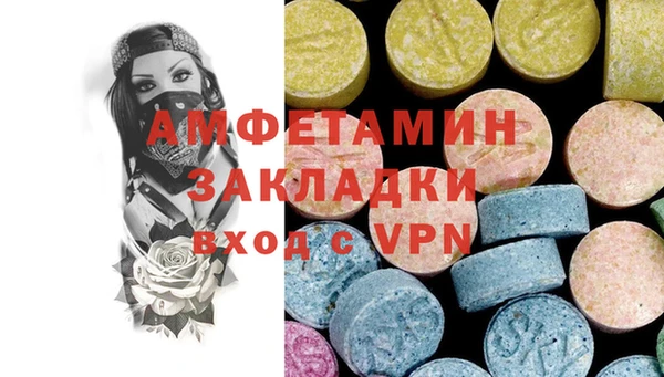 прущие грибы Елабуга