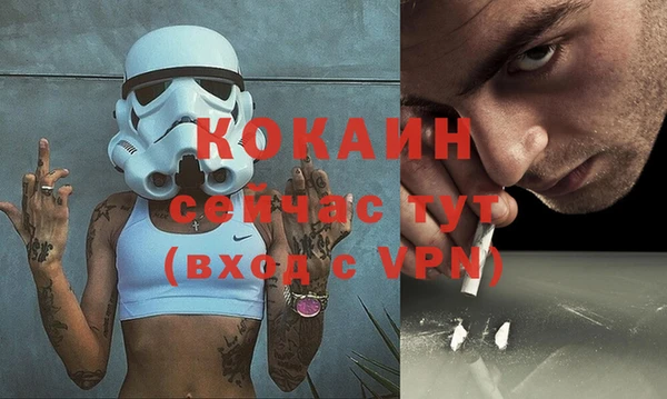 прущие грибы Елабуга