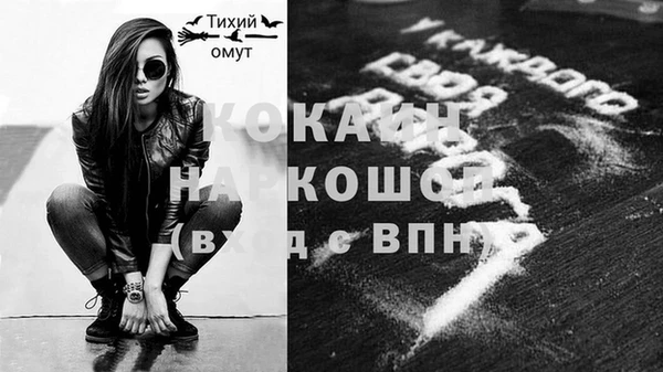 прущие грибы Елабуга