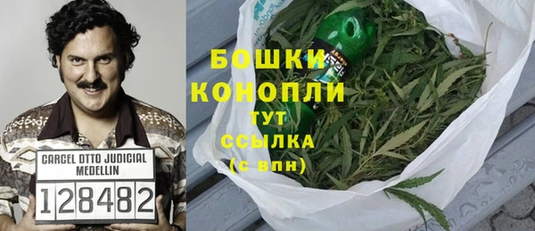 прущие грибы Елабуга