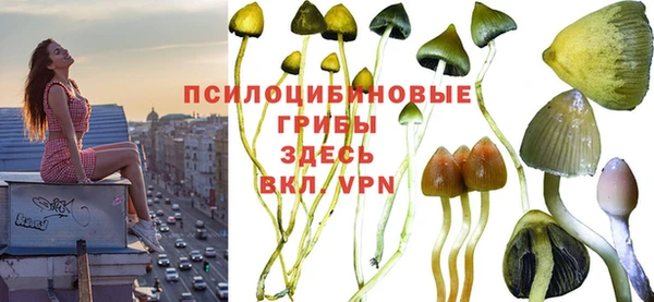 гидра Дмитров