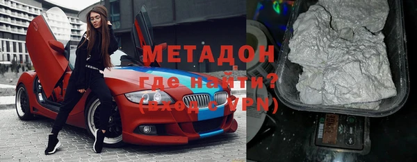 прущие грибы Елабуга