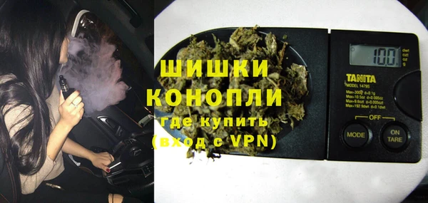 прущие грибы Елабуга